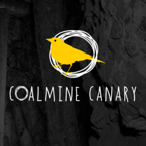 droppit-Creative-Studios-Coalmine